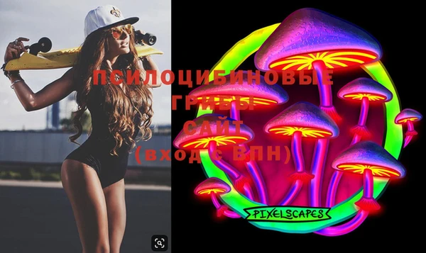 мяу мяу мука Арсеньев