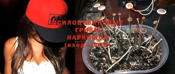 мяу мяу мука Арсеньев