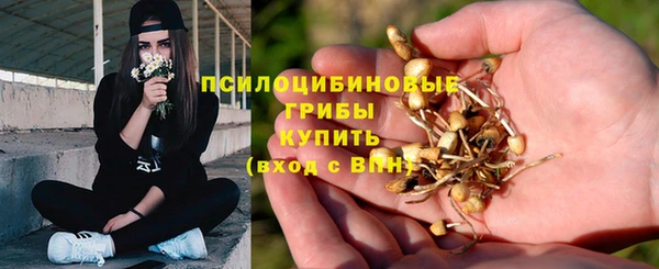 гашик Армянск
