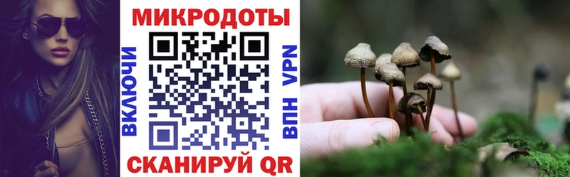 купить наркоту  МЕГА ONION  Псилоцибиновые грибы Psilocybine cubensis  Минусинск 
